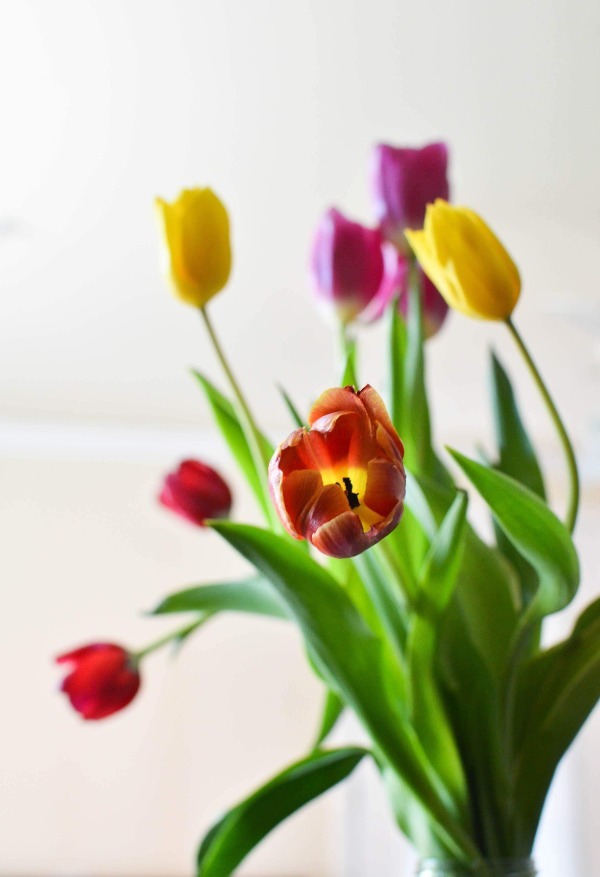 mothers-day-flowers