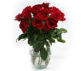 12 Red Roses image