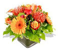 Flower Arrangements image