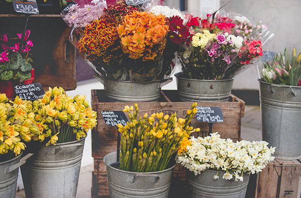 Compare flower prices